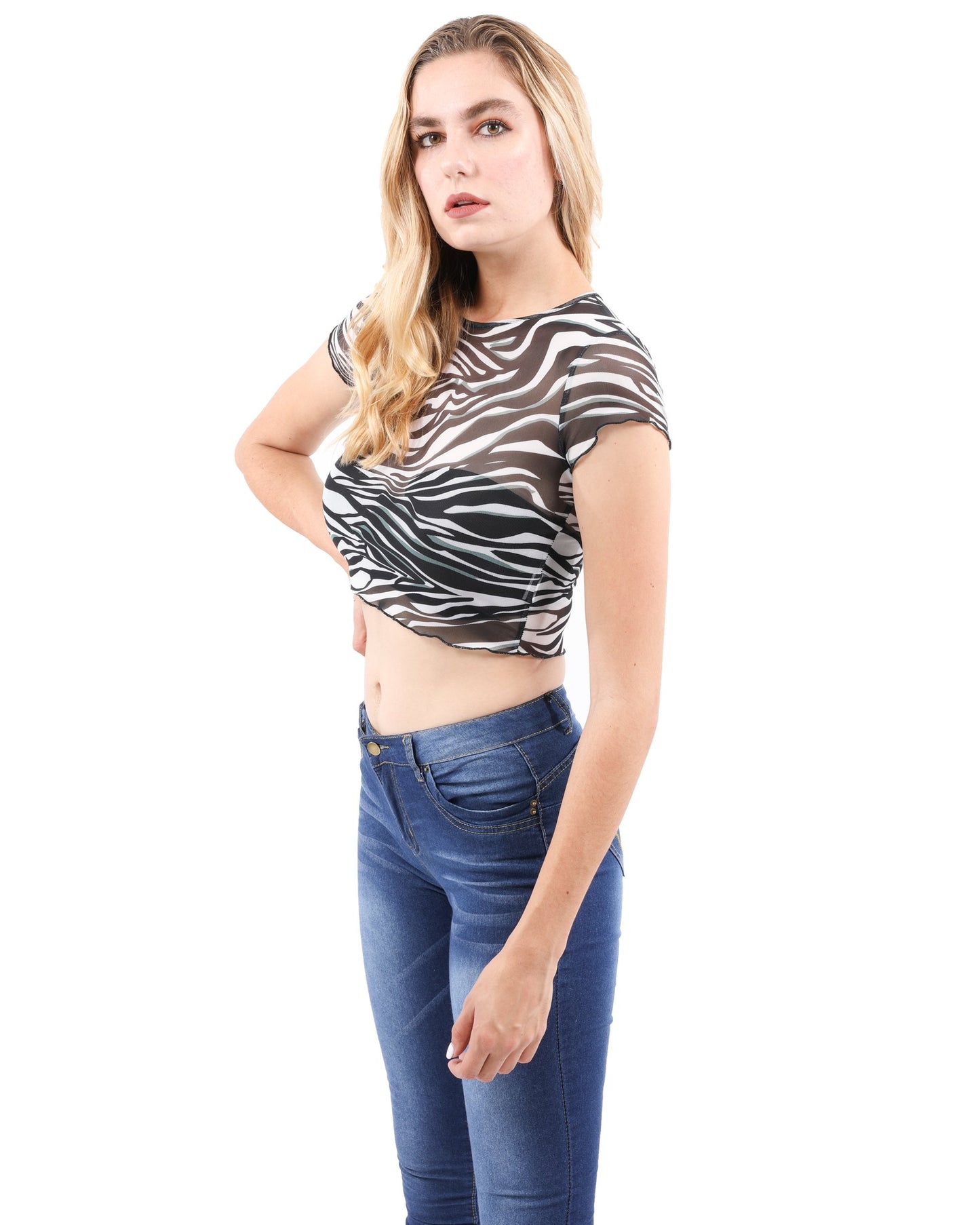 North Animal Print Sheer Top